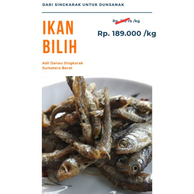 

IKAN BILIH