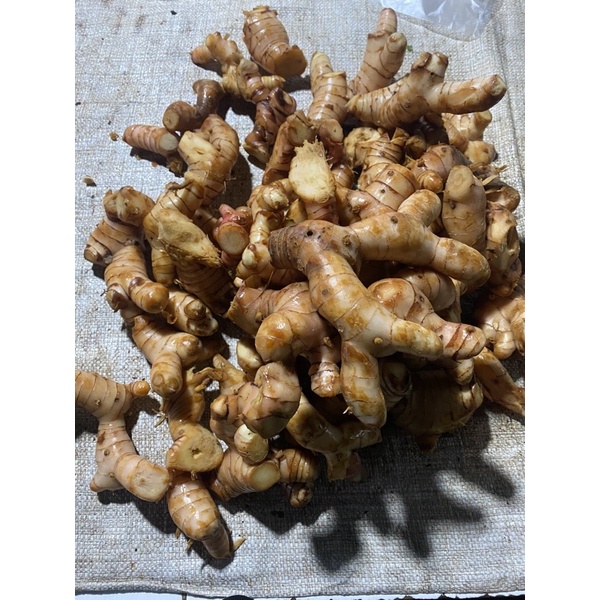 

Sayuran Lengkuas Fresh