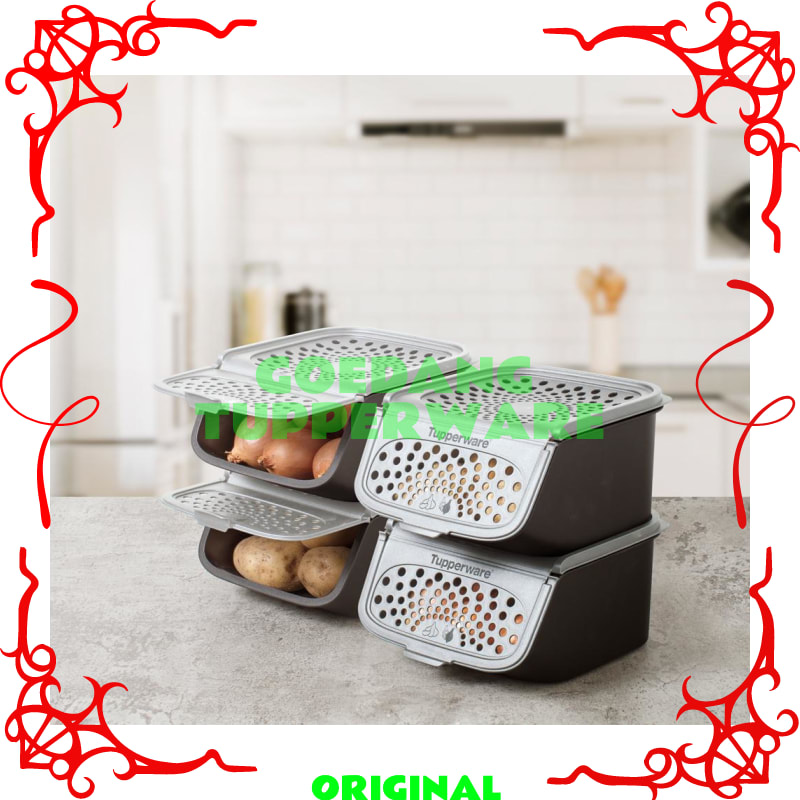 Tempat Bawang Bumbu Tupperware Original - Toples Bawang Merah Bombay (1pc)