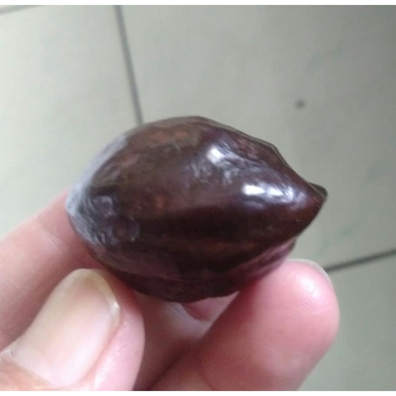 Muncang Adu LK Ori Malangbong Matang