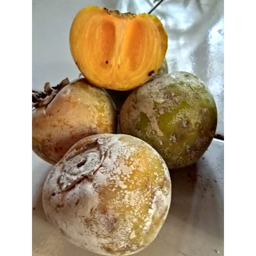 

BUAH KASEMEK BUAH GENIT SEGAR SATU KILO