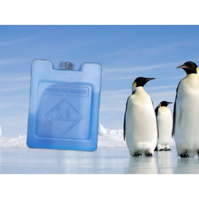 ice pack 9 × 11cm mini kecil ice gel thermafreeze dry blue ice