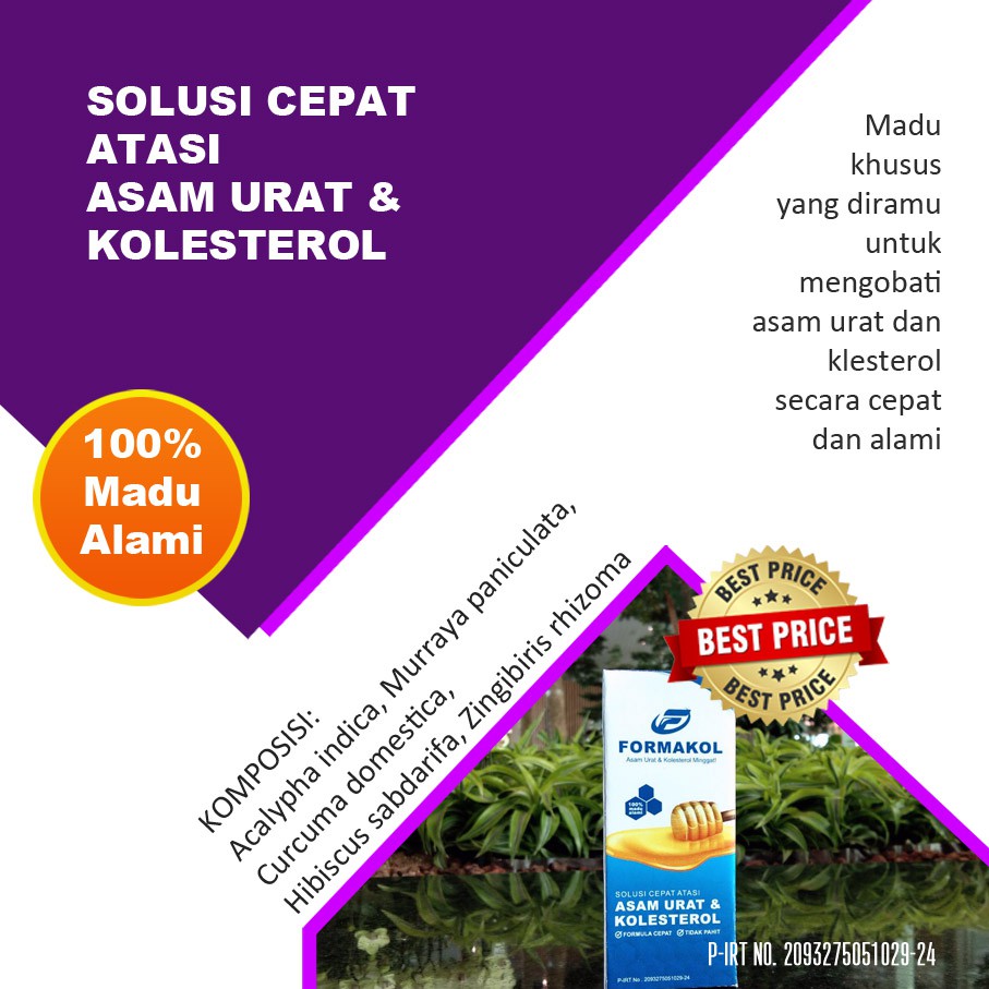 

FORMAKOL OBAT MADU HERBAL KOLESTEROL YANG AMAN UNTUK IBU MENYUSUI