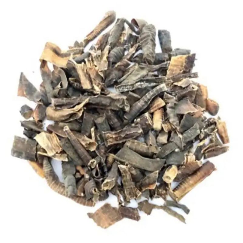 Cacing Kering / Cacing Kalung