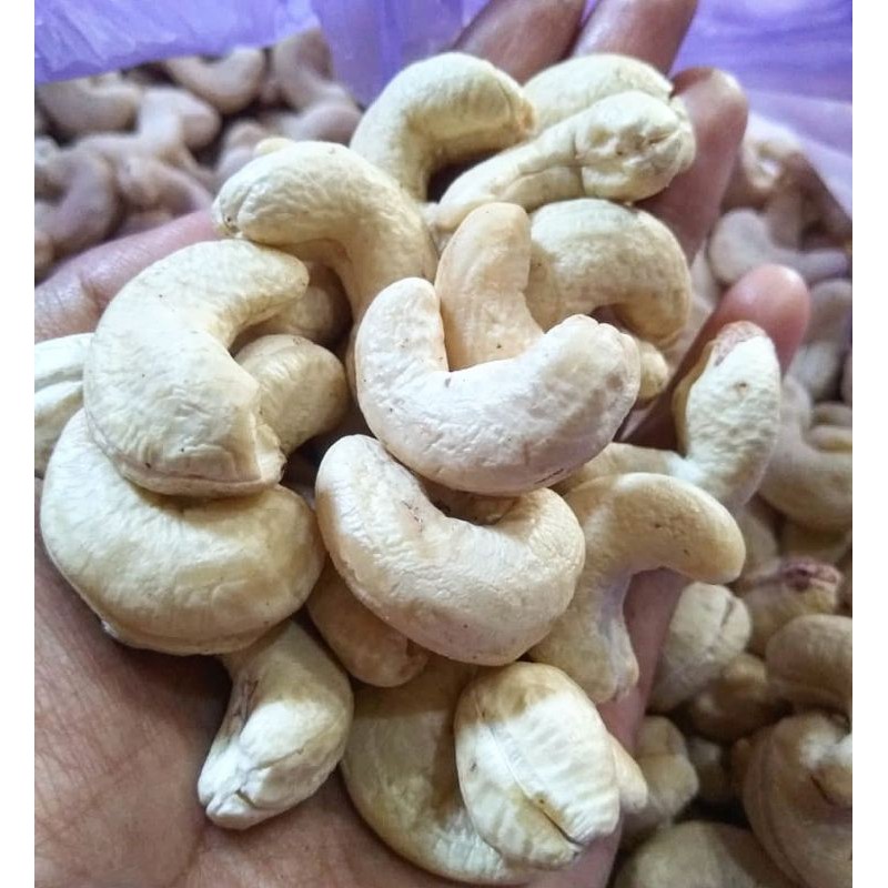 

Kacang Mete Mentah | Mete Wonogiri