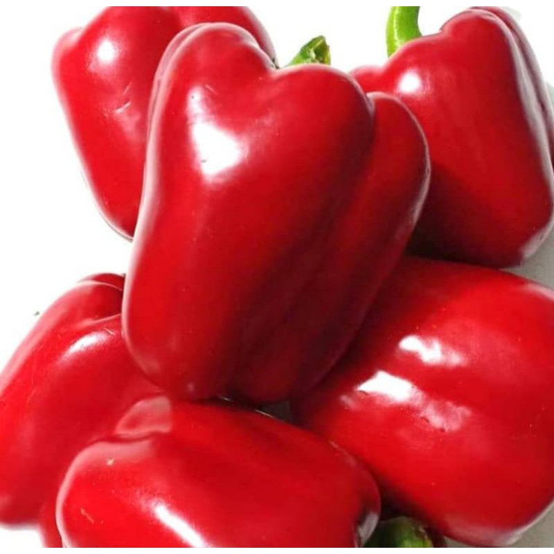 

Paprika Merah Ganda Segar dan Sehat per 1 kg