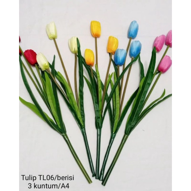 Tulip TL-05