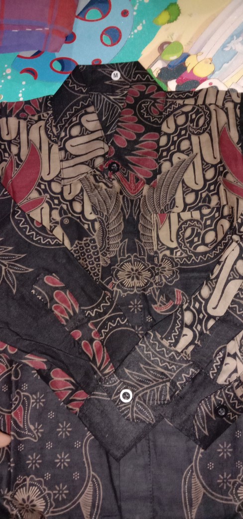 Baju Batik Anak Laki-laki Lengan Panjang Bisa Buat Sekolah Hari Batik