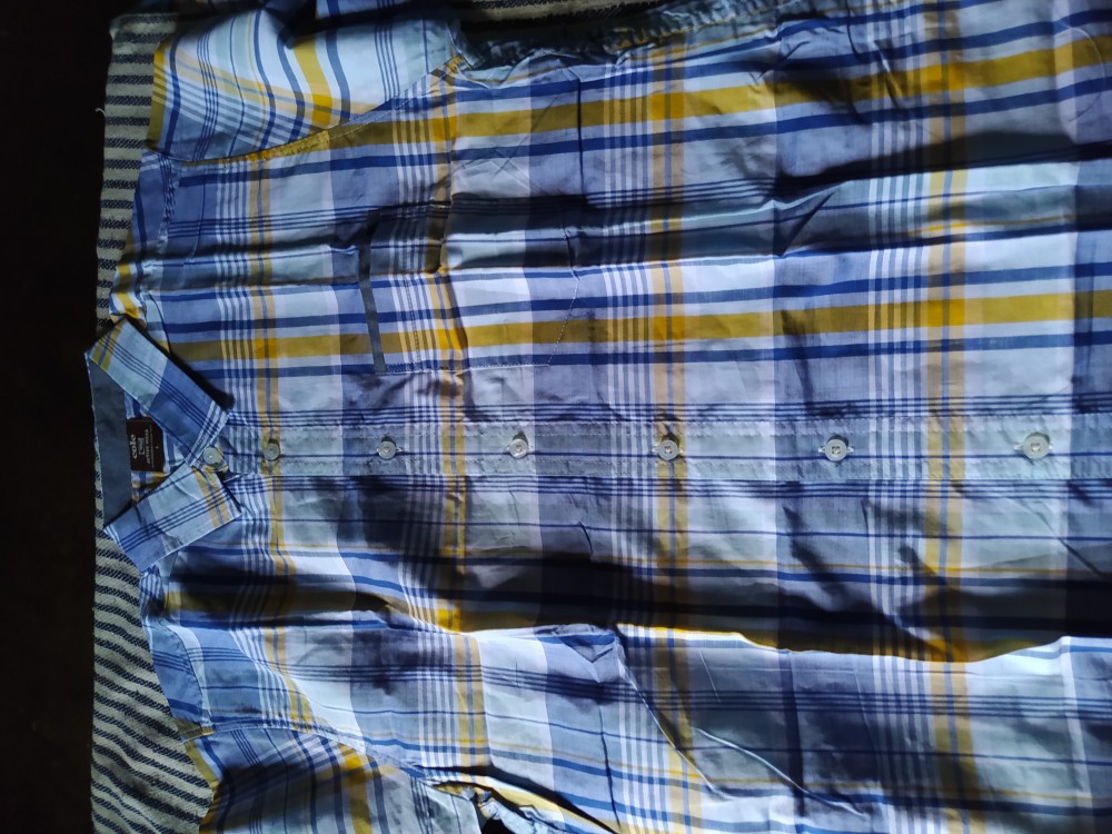 Kemeja Pria Brand Cole