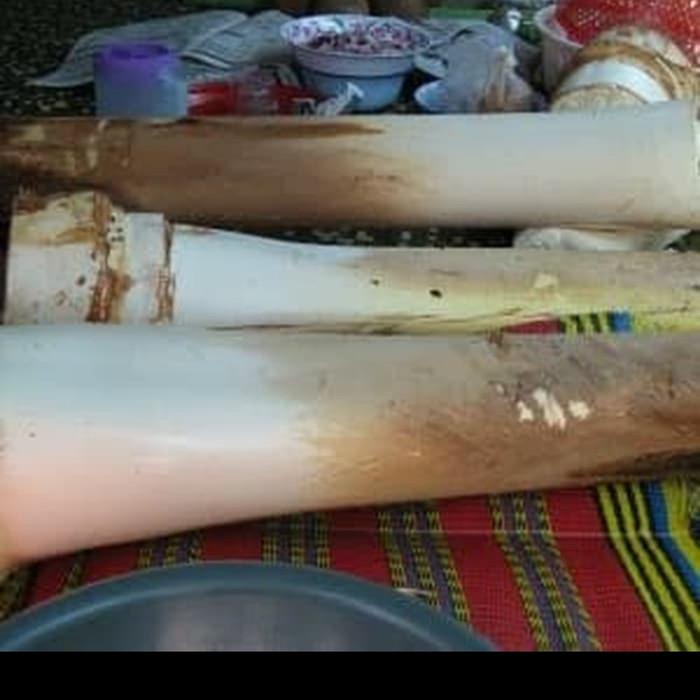 Elisaya/ Umbut Kelapa - Humbut Kelapa - Pondoh Kelapa Per 1 Tundun