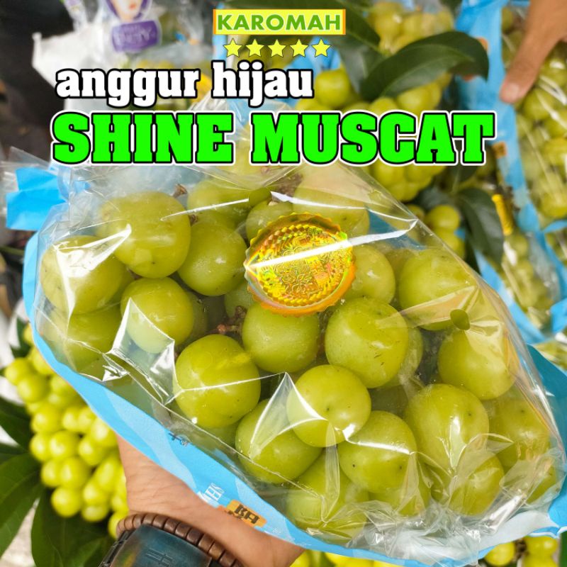 

BUAH ANGGUR HIJAU SHINE MUSCAT MANIS ( ANGGUR HIJAU MANIS TANPA BIJI )