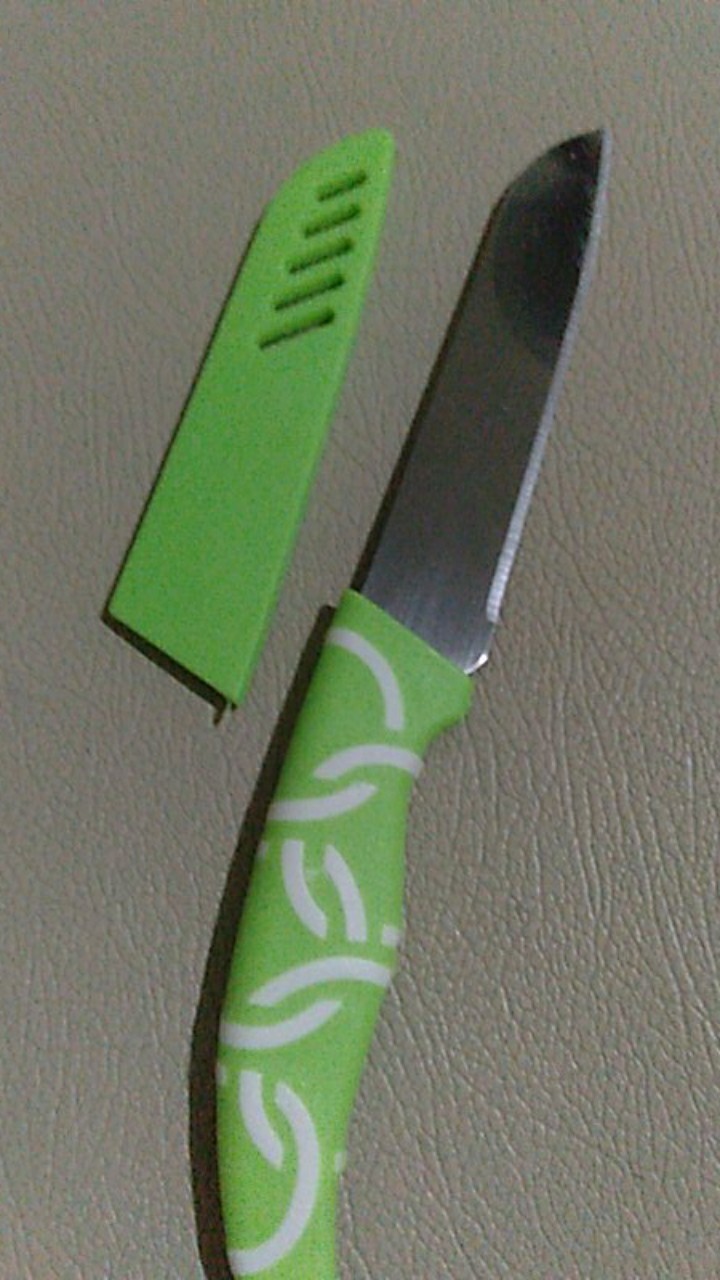 [38gr] Ppl Pisau Apel / Pisau Dapur Stainless / Pisau Buah / Pisau Apple