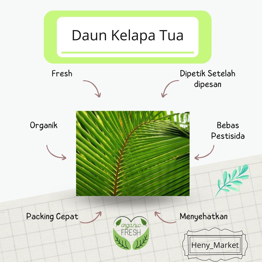

Daun Kelapa Hijau