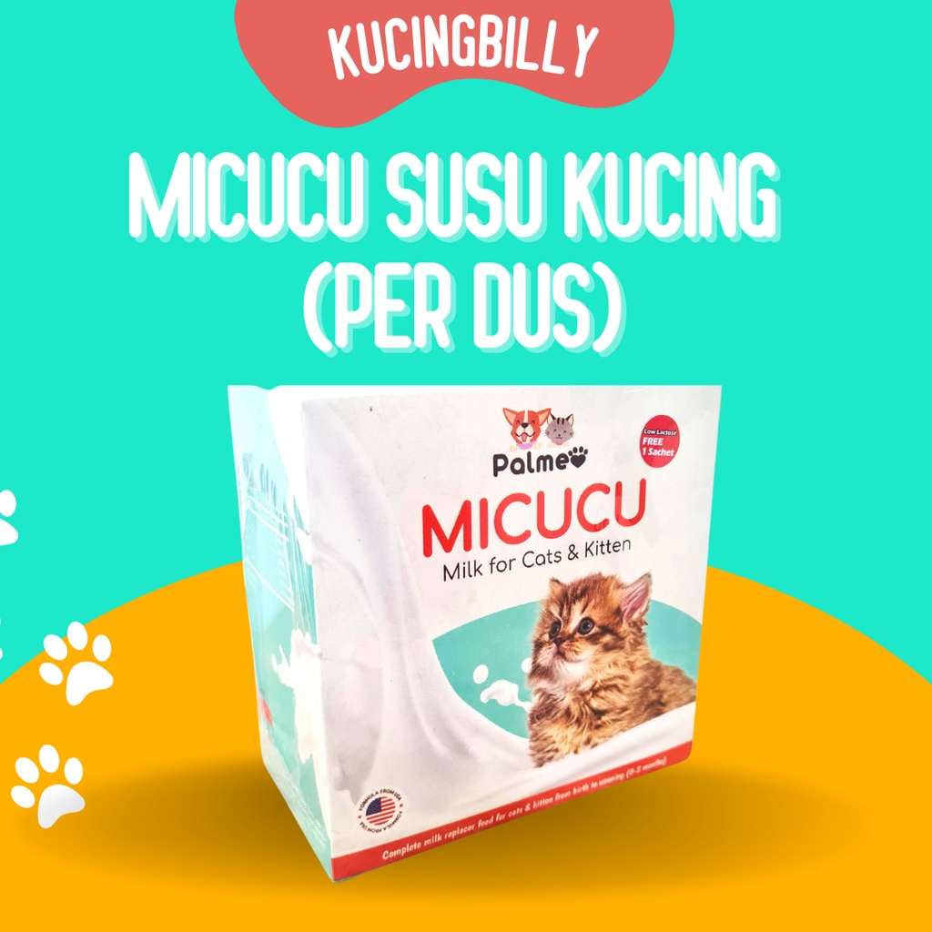 Micucu cat susu anak kucing