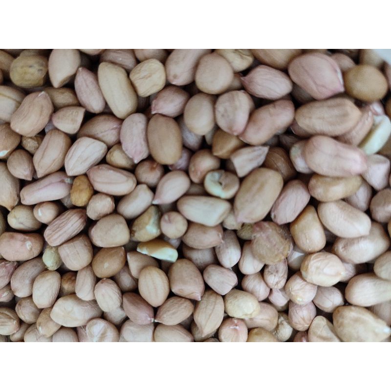 

Kacang Tanah Import Premium 1 KG