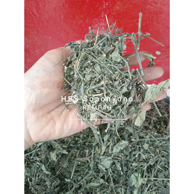 

Sambiloto / Sambiroto kering SUPER, ukuran 250 gram dan 500 gram