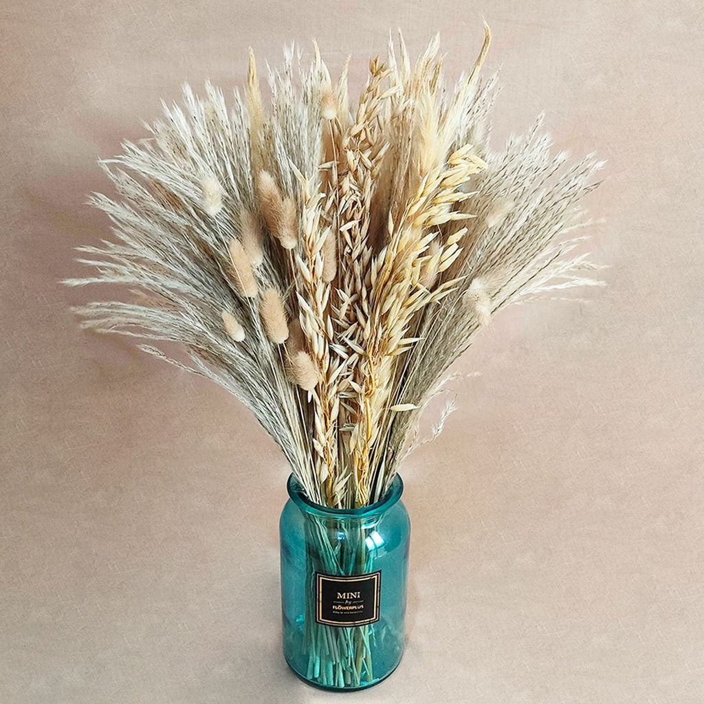 Dried Flower Bali Style Pampas Bundle Lagurus Wheat Oat Pampas Grass Bunga Kering Asli Dekorasi Hias Pajangan