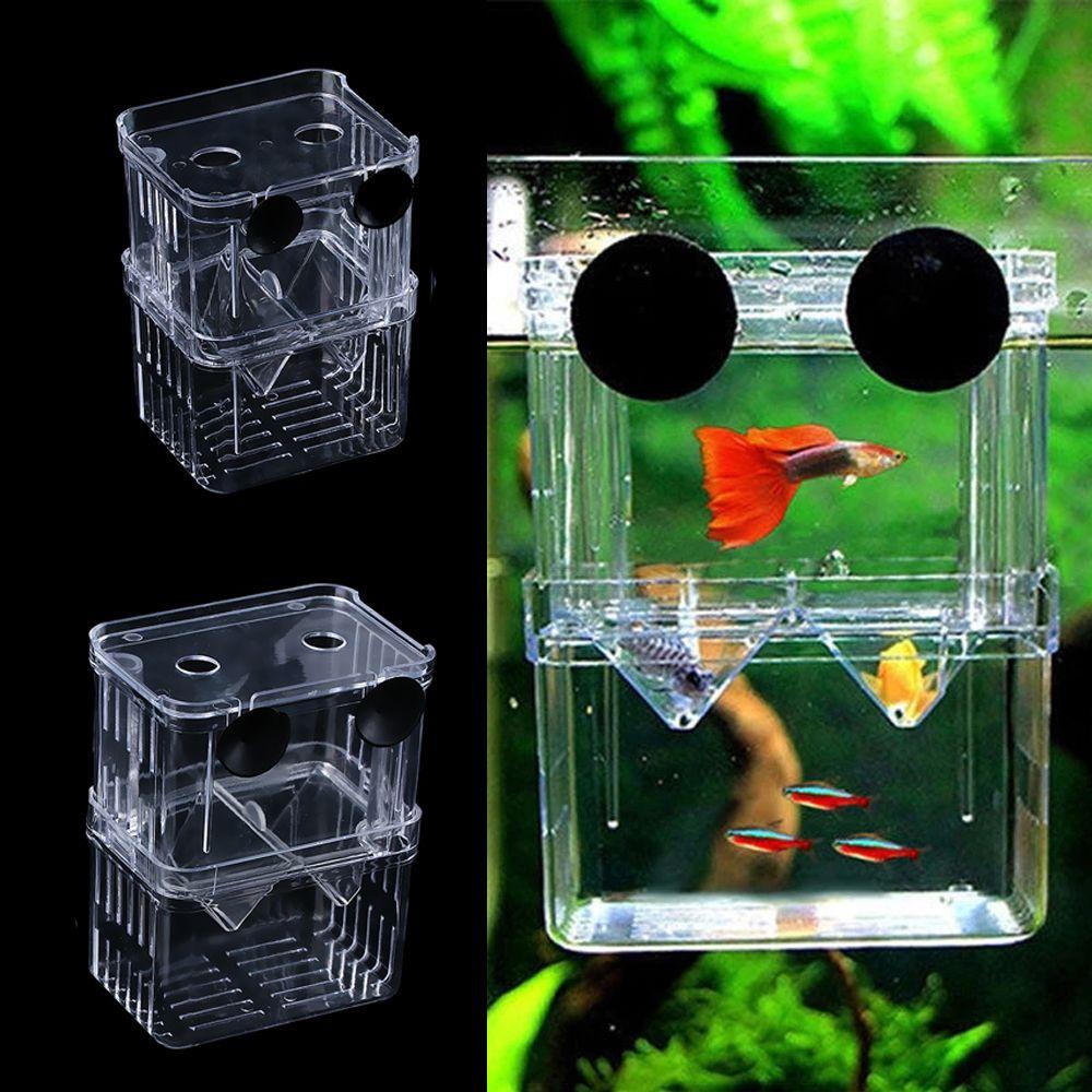 Solighter Kotak Pembibitan Ikan Sekat Akrilik Berguna Hatching Case Double-Deck Isolasi Aquarium