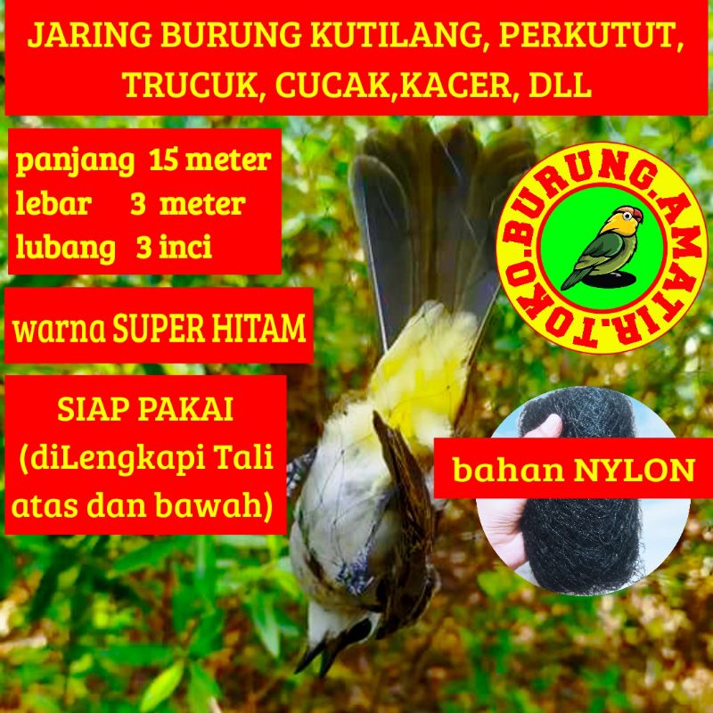 Jaring burung nilon, jaring burung perkutut, jaring kutilang,jaring burung kacer murai TRUCUK pentet