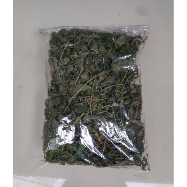 

Daun jelatang kering daun gatal kering