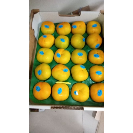 

Buah Persimon Import Australia |buah kesemek 1 kg