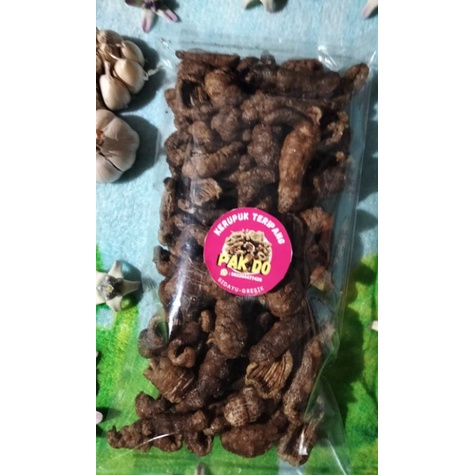 

timun laut (seacucumber)di proses tanpa minyak goreng ( oven)cemilan sehat seribu manfaat