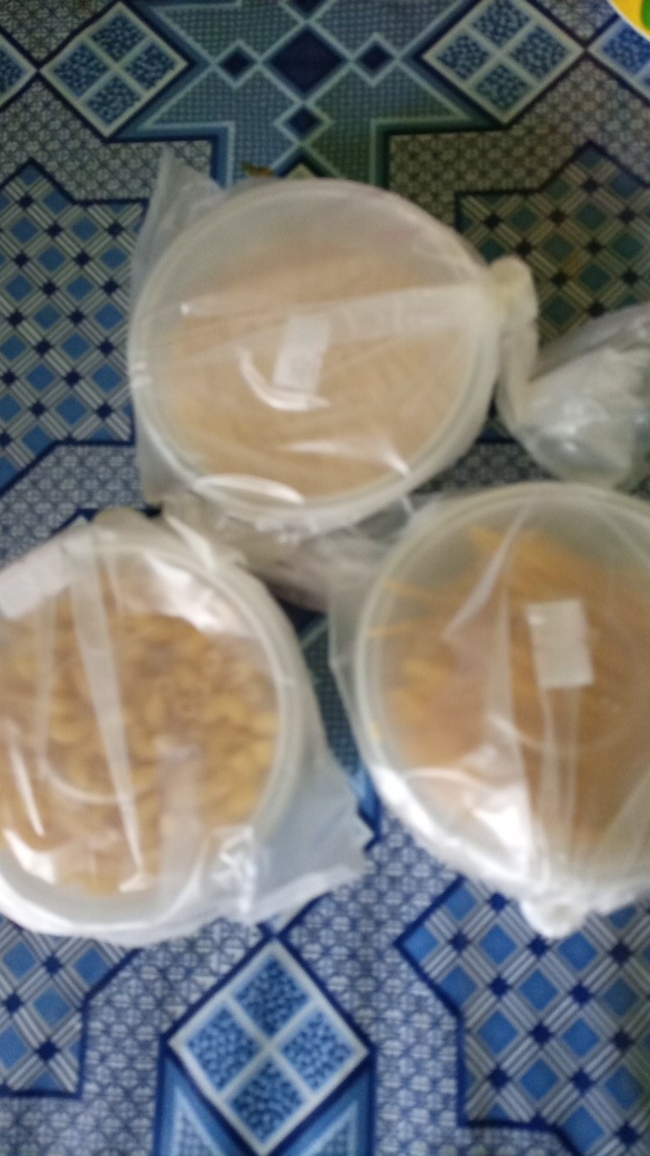 Pasta All Varian 100 Cup
