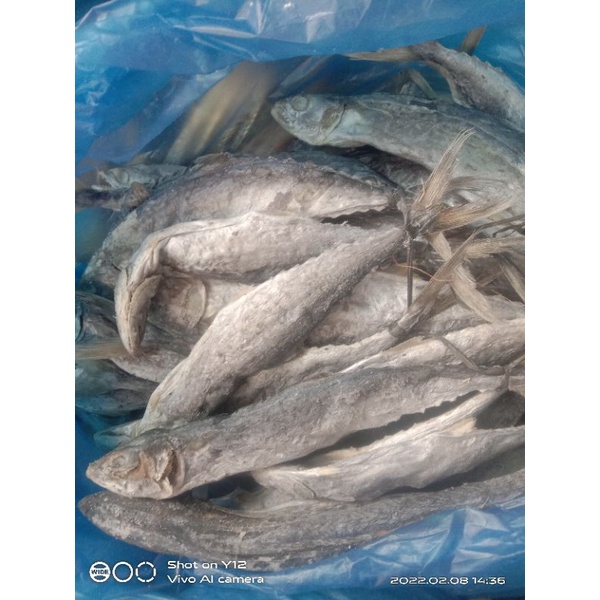

Ikan asin tenggiri Khas Kota Tanjungbalai sumut