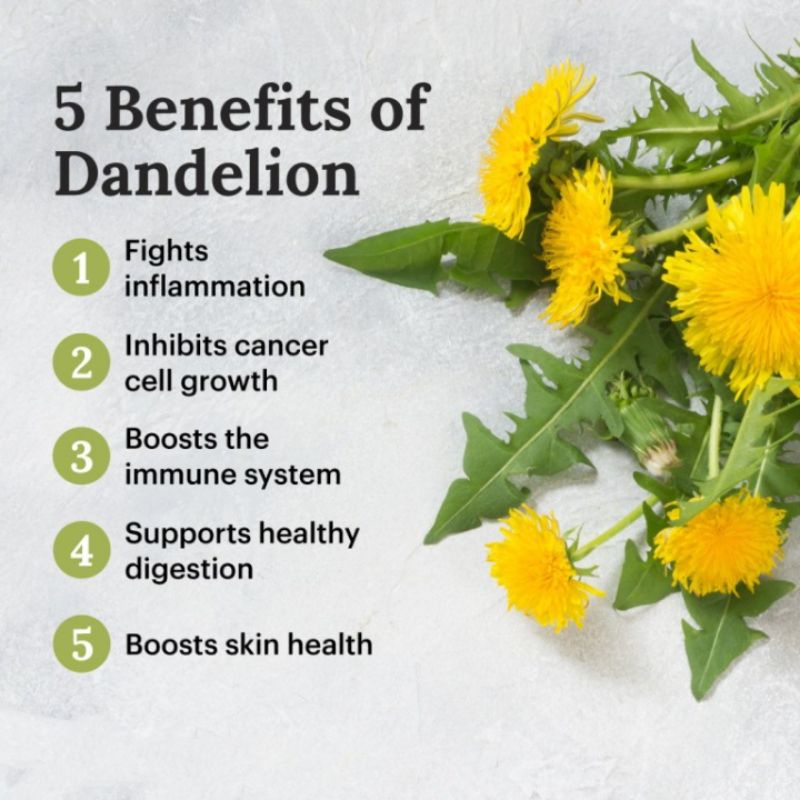 Dandelion Lotus Lemon Tea : Clean Toxic, Slimming &amp; Detox 30 Tea Bag