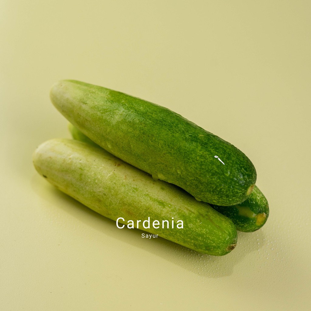 

TImun, bumbu masak , peralatan masak, bahan masakan, sayur segar