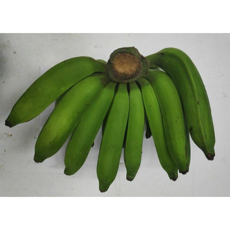

Pisang Nangka 1kg