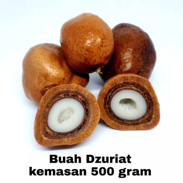 

Buah Zuriat Doum 500g utuh / Zuriyat Mesir Asli ikhtiar promil