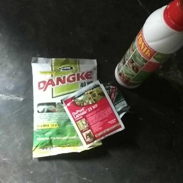 Obat Ulat Penggerek Batang Dan Belalang Lannate 25 Wp Kemasan 15 Gram