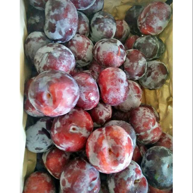 

Plum segar buah plum plum diet