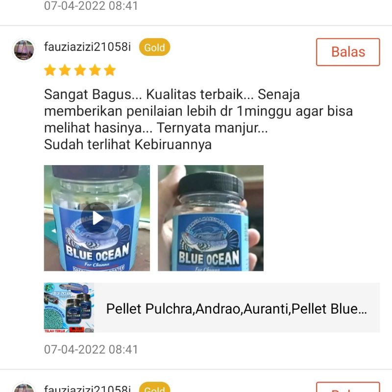 Pakan channa Blue Ocean 100 gram