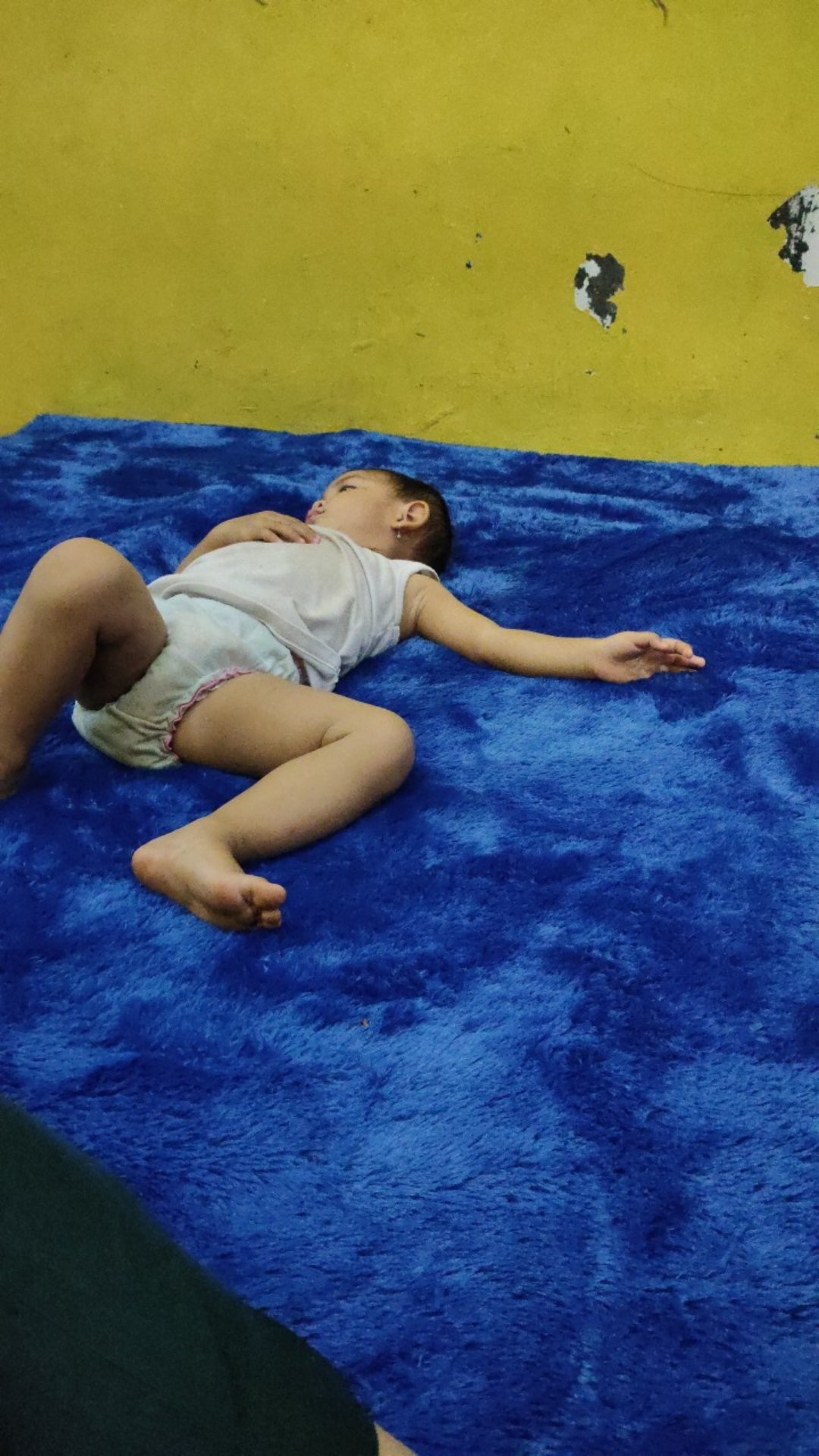 [kasur No.1] Karpet Bulu Tebal 6,5cm Ukuran 200x180cm
