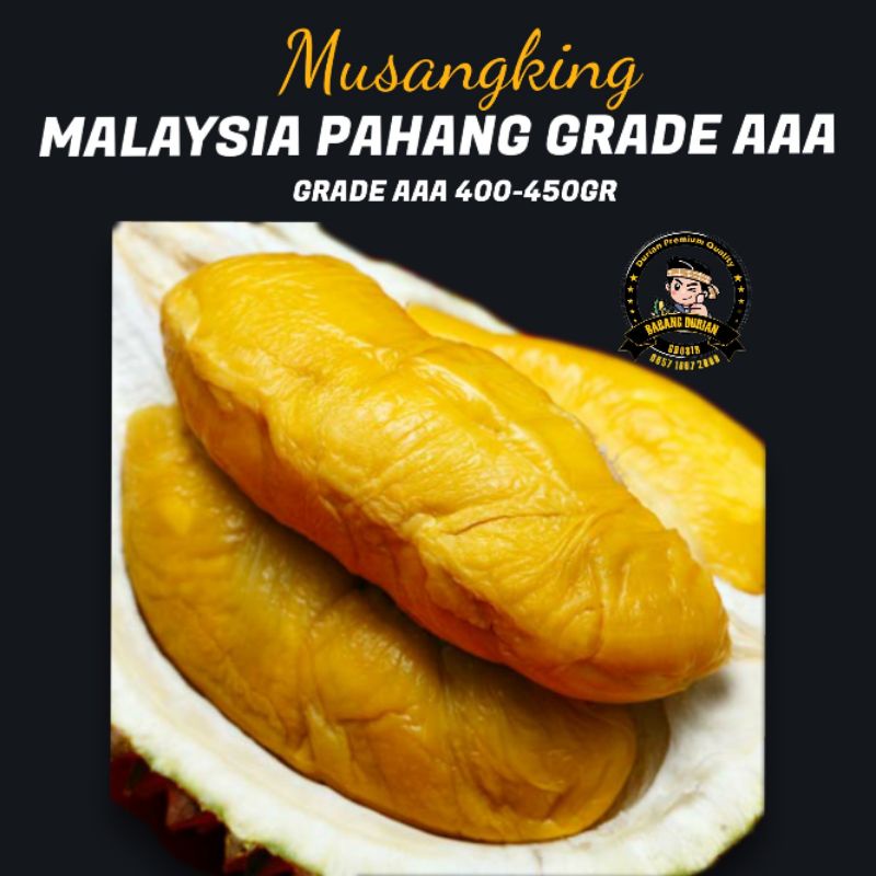 

DURIAN MUSANGKING FRESH MASIH DENGAN KULIT MALAYSIA PAHANG GRADE AAA 2KG 3KG