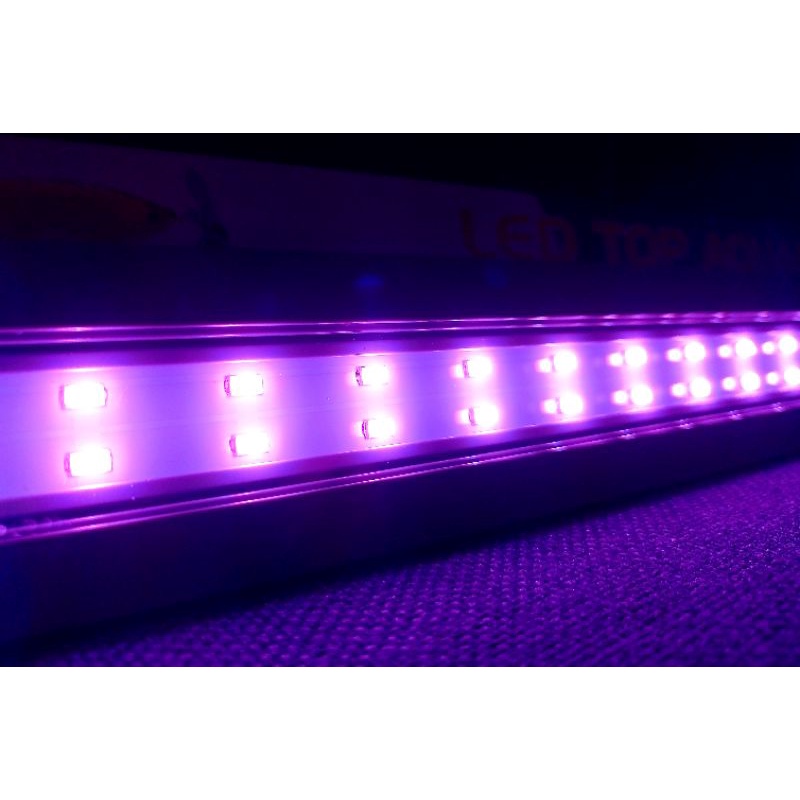 LAMPU AQUARIUM AQUASCAPE LED SPA P800