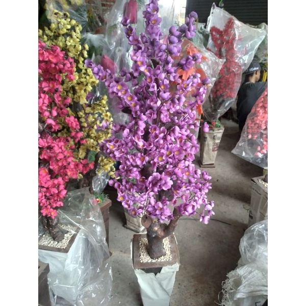 ID BUNGA SUDUT SAKURA JUMBO / BUNGA HIAS SAKURA RIMBUN