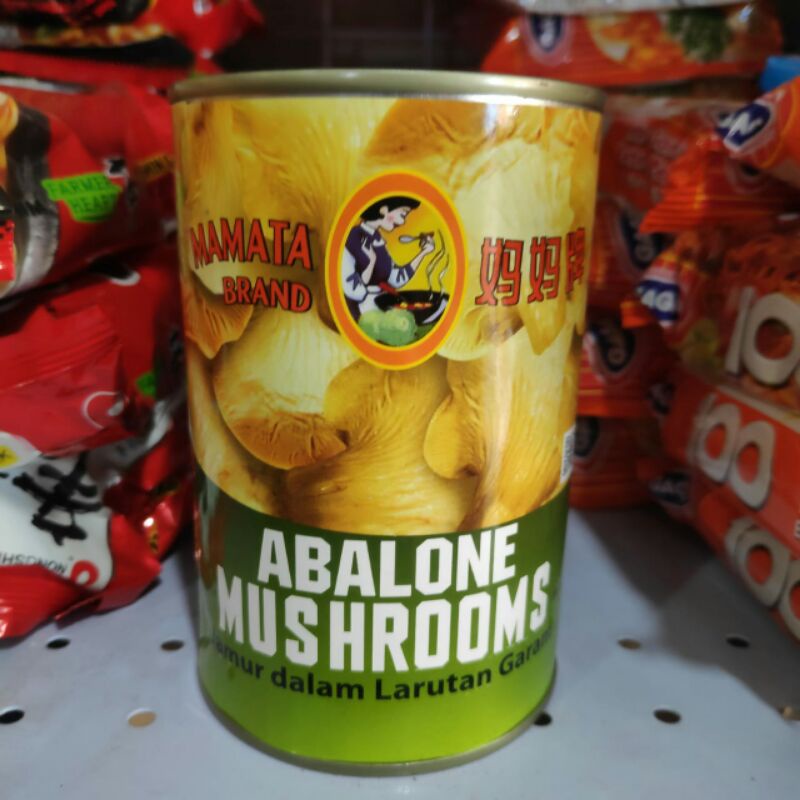 

abalone mushrooms jamur mamata