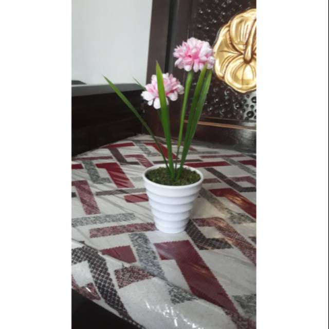 

Bunga armenia/ sudah habis