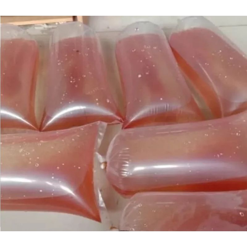 kutir segar pakan burayak/cupang