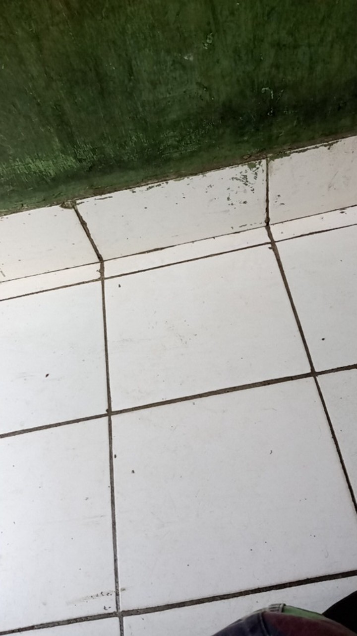 Tempat Sampah Mobil Simple Kotak Tong Sampah Dengan Tatakan Karet Untuk Kebersihan