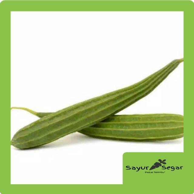 

Oyong [250 gr]