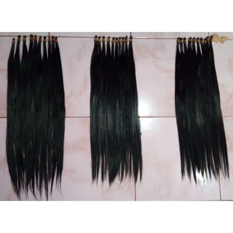 Rambut Sambung asli