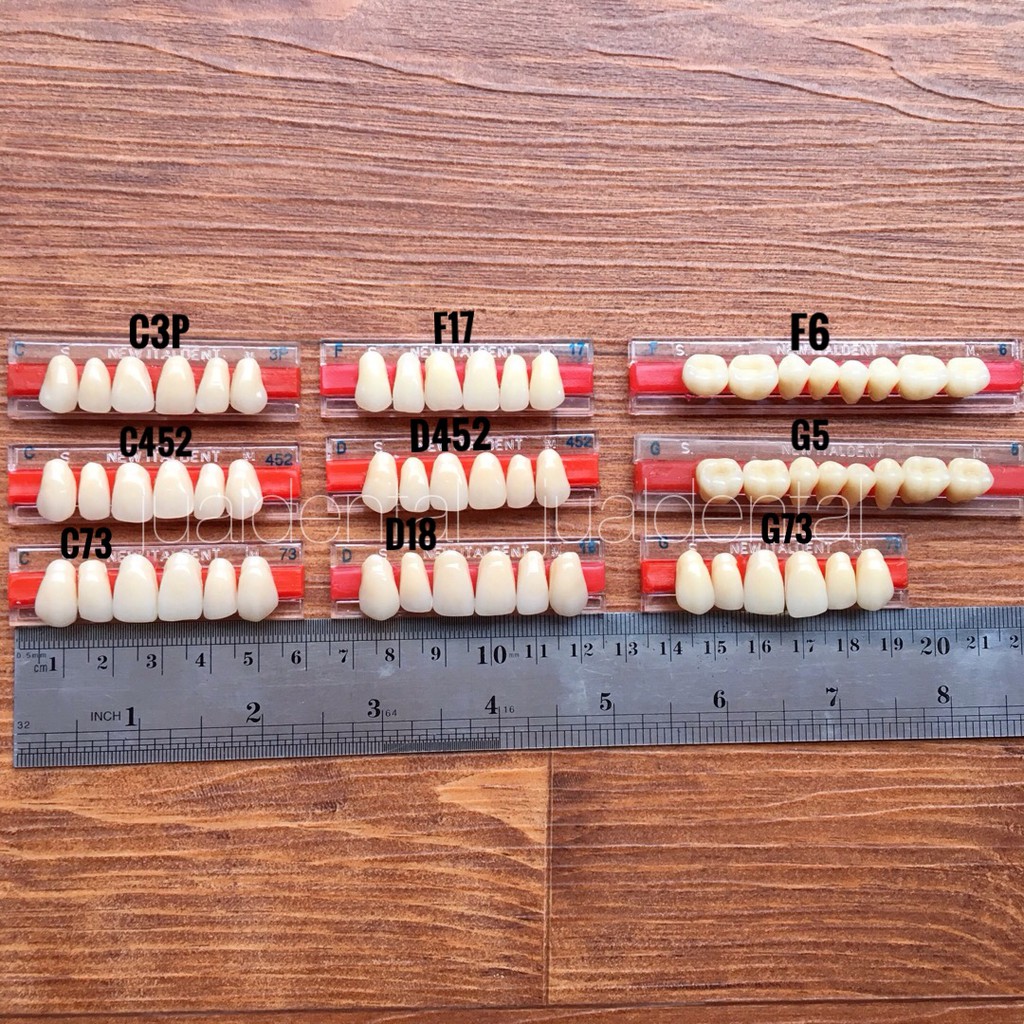 Gigi Palsu Anterior Depan Atas (6pcs) & Posterior Depan Bawah (8pcs) Italdent