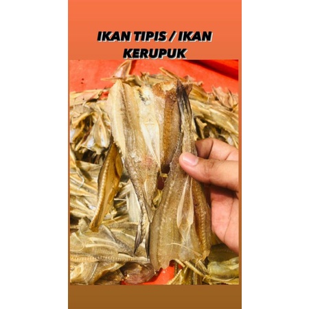 

IKAN TIPIS KHAS TARAKAN
