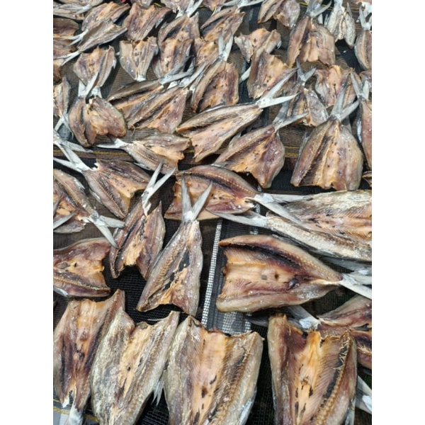 

Ikan Asin Bandeng dan ikan ikan asin sepat
