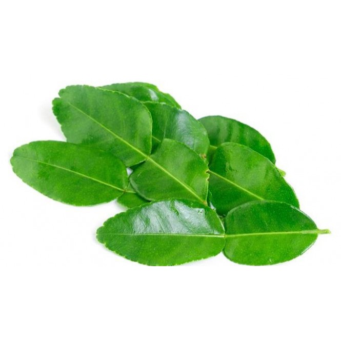 

Daun Jeruk Bumbu Dapur Masak Enak Pasar Murah Jakarta