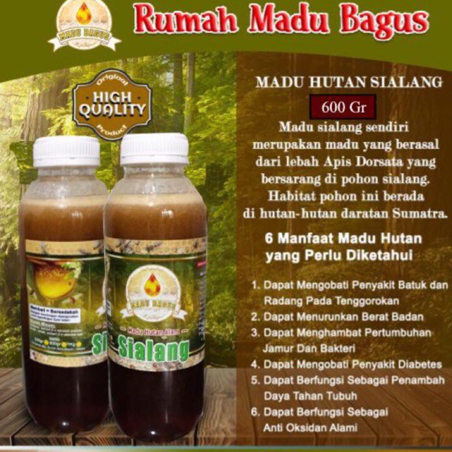 

MADU BAGUS-RAW HONEY ORGANIC 600 gram